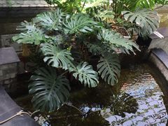 -燕北云山·农家菜·灶台鱼(密云溪翁庄店)