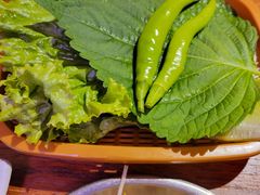 -济州爱肉堂(总店)