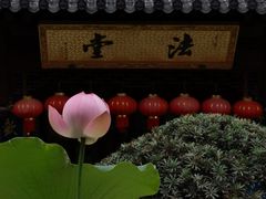 -下海庙
