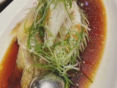 清蒸桂鱼-望乡楼上海菜(日月光店)