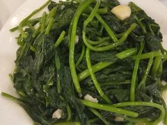 蕃薯叶-围龙屋客家食府(福田店)