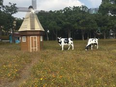 -大宁灵石公园西门票处