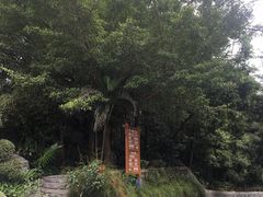 -广州市流溪河国家森林公园