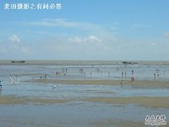 -碧海金沙
