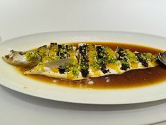 翘嘴鱼-西郊壹号