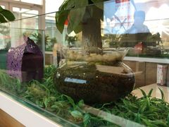-嘉和一品粥(津华昌道店)