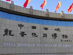 -中国西峡恐龙遗迹园