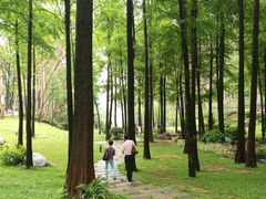 -畔山酒店中餐厅