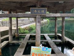 -蔺大妈松花糕