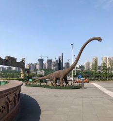 -恐龙探索乐园(磁器口店)