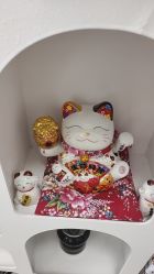 -藤野造型专业烫染接发