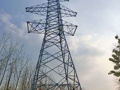 -合肥滨湖国家森林公园