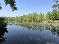 -白鹭湾湿地公园