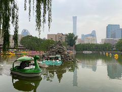 -团结湖公园