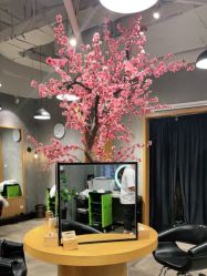 -时尚殿堂明星门店