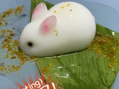 兔兔椰子冻-探窝·竹笙椰子鸡(杨箕店)