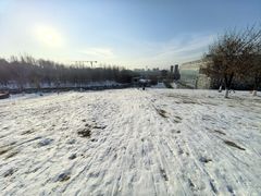 -莫子山公园