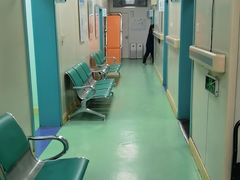 -北京观赏动物医院·24小时大型综合·猫专科·异宠专科
