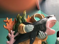 -海合安成都极地海洋公园