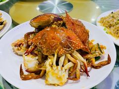 -四姑娘川味海鲜(八爪鱼店)