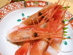 -紫· 割烹  Kappo Murasaki