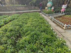 -天河儿童公园