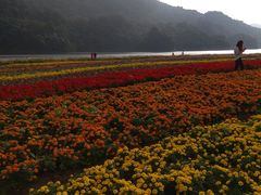 -广州市石门国家森林公园