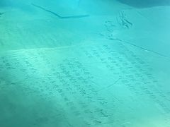 -白鹤梁水下博物馆