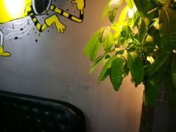 -茶发Salon·烫发染发理发