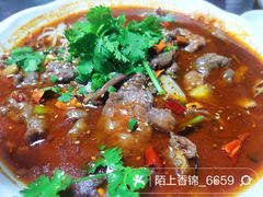 -东鸽皇(奥园·中环广场店)