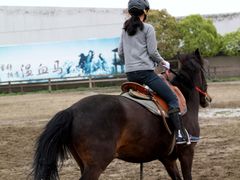 -松声马术俱乐部