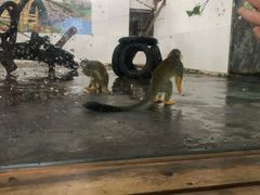 -西安秦岭野生动物园