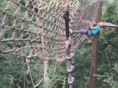 -西双版纳原始森林公园