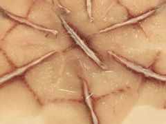 -活鱼馆(宜兴埠店)