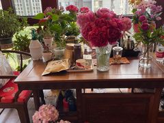 -宝鸡东道花鸟鱼虫市场(吉利花园商场店)