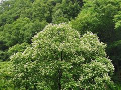 -终南山南五台景区
