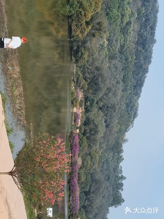 南国桃园旅游度假区图片