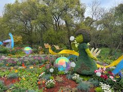 -上海海湾国家森林公园