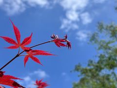 -上海交通大学（闵行校区）-李政道图书馆