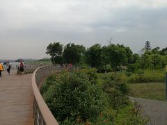 -江滩湿地公园