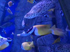 -成都浩海立方海洋公园