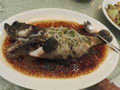 龙胆石斑-頂好酒家·经典粤菜(海信广场店)