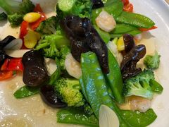 -启博美食城(孟家店)