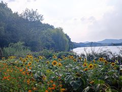 -天目湖山水园