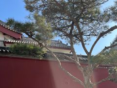 -西安市广仁寺