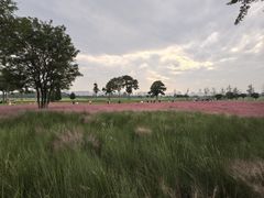 -汉长安城未央宫国家考古遗址公园