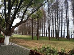 -东湖落雁景区