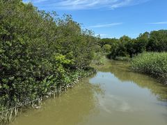 -吴淞炮台湾湿地森林公园烧烤区