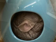 -龙猫仔乐园(惠福东路店)