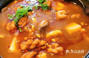 Tofu and Beef Hot Pot